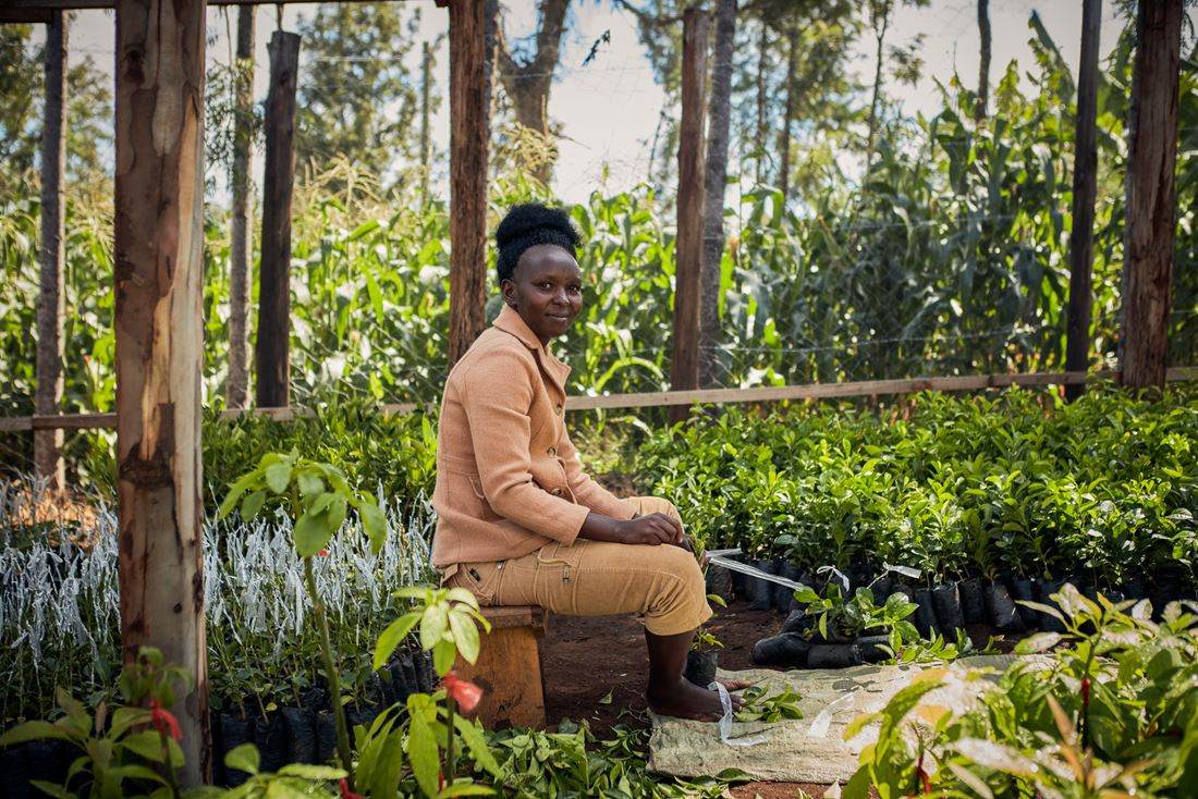Mujer en un vivero de árboles de un proyecto agroforestal